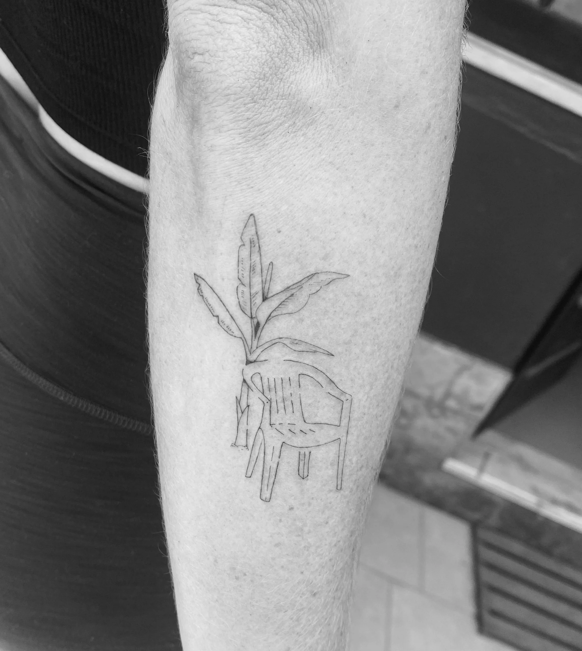 wilfennel_Tattoo_Luz_Sagres_Lagos_9